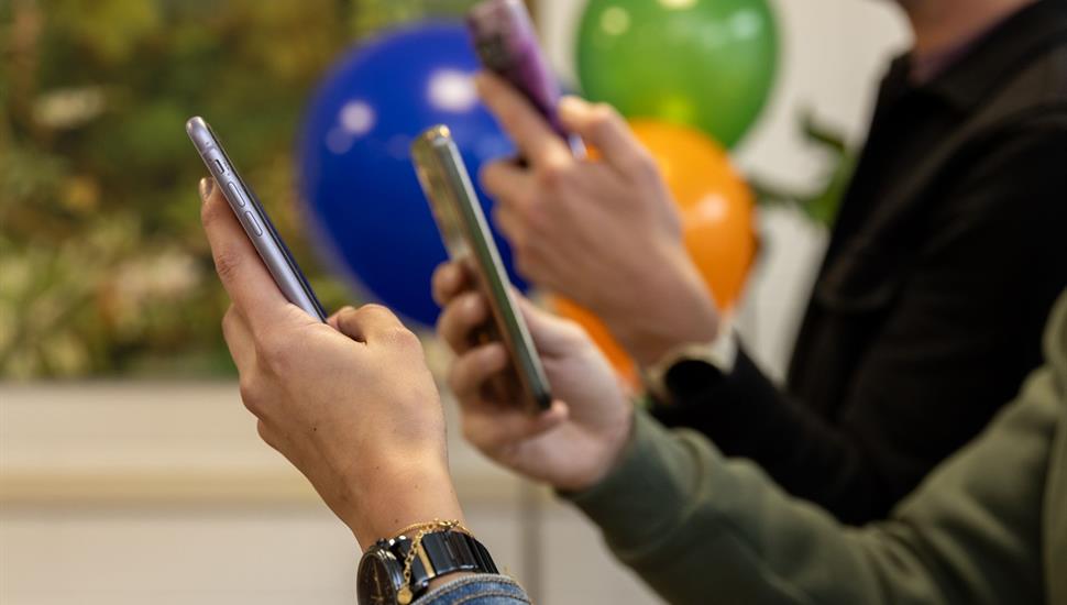 Social Media Management